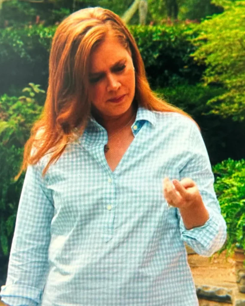Anna's Blue Gingham Poplin Shirt on Cape Fear S01E01