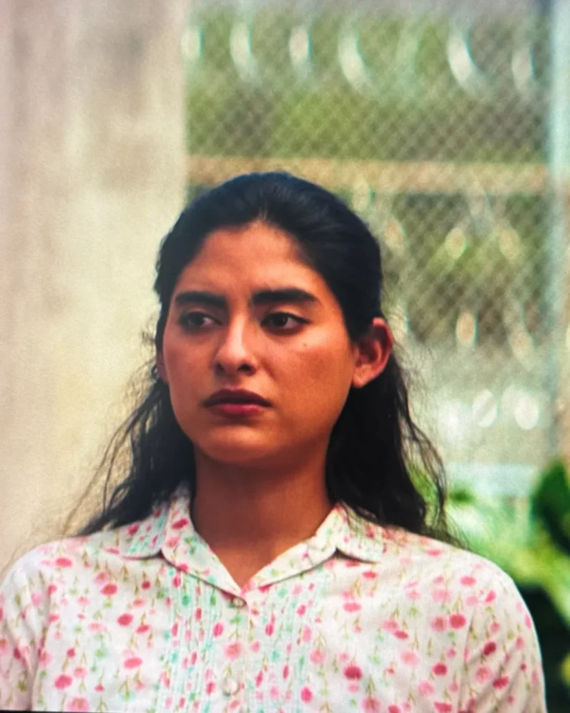 Floral Button Up Dress on Cape Fear S01E04