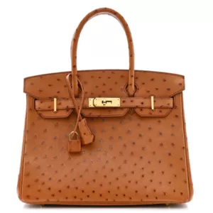 Hermes Ostrich Birkin 30 Cognac