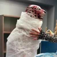 Keeley's Leopard Statue